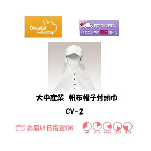 咆Y zXqt CV-2 C{CXxΏۓKisƎ