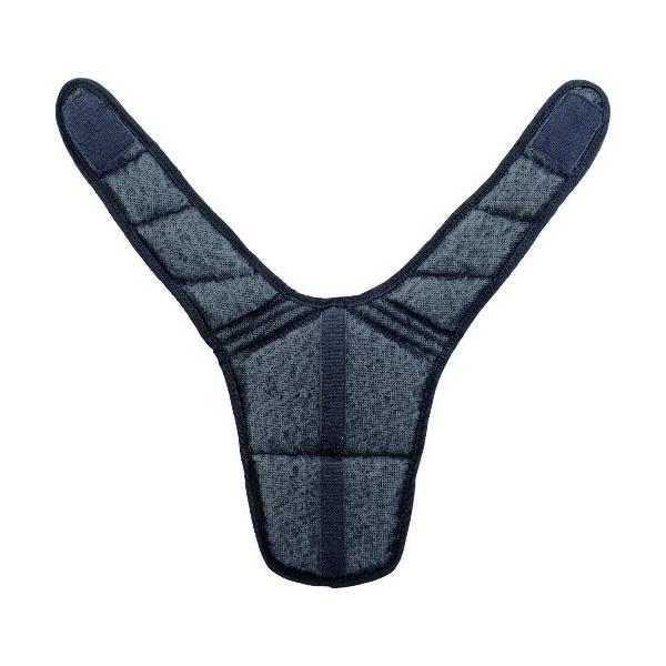 ^W} TJMfUC t@xXgpCi[pbh FVP-AAPG C{CXxΏۓKisƎ