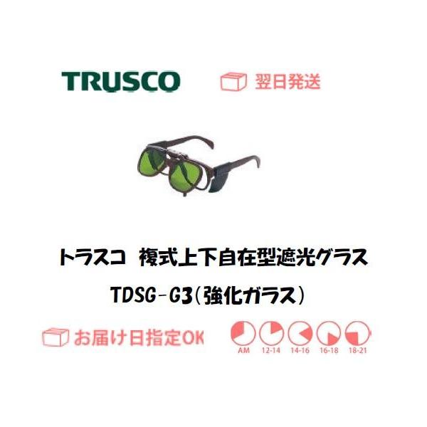 gXR ㉺ݎՌKl TDSG-G3iKXAՌx3j C{CXxΏۓKisƎ