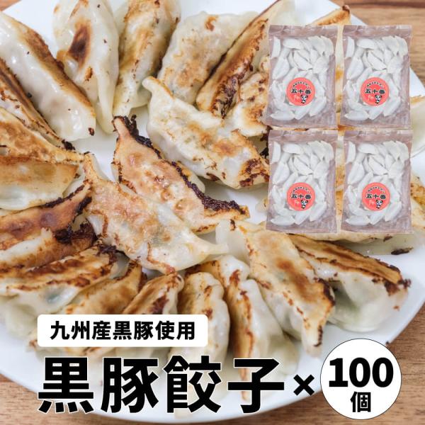 黒豚餃子 100個 セット 餃子 冷凍餃子 冷凍 食べ物 ギフト お取り寄せグルメ 中華 惣菜 点心 冷凍食品 福岡 フジボー 爆買