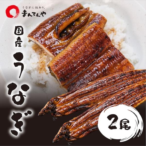 【 うなぎ蒲焼 大 2尾セット 】 まんてんや 福岡養鰻 国産 うなぎ 鰻 冷凍 冷凍うなぎ お中元 セット ギフト 贈り物 お取り寄せグルメ フジボー 爆買