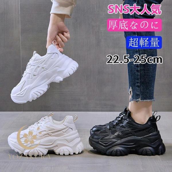 yozakura_hl20250626795