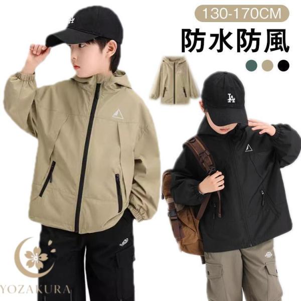 yozakura_hl20250642163