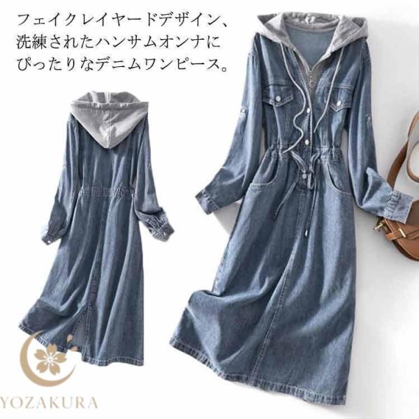 yozakura_hl20250650427