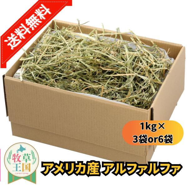 アメリカ産 アルファルファ 1kg×3袋 or 6袋 うさぎ 餌 チンチラ デグー モルモット  ペットフード もふぱふぇ 牧草王国 爆買