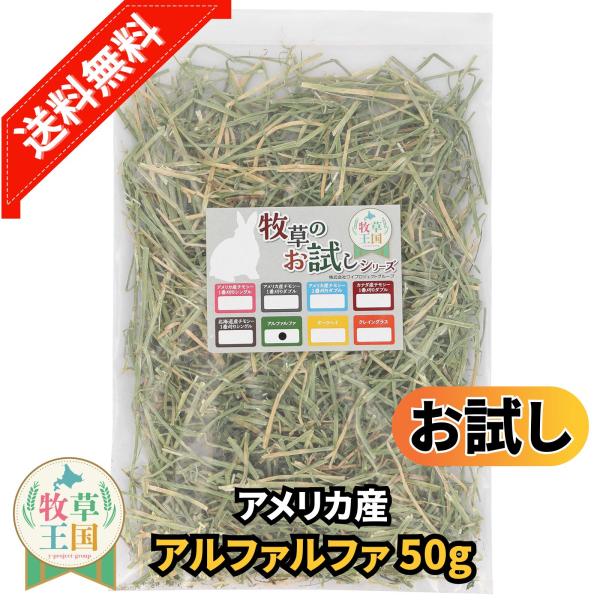 アメリカ産 アルファルファ 50袋 お試しサイズ うさぎ 餌 チンチラ デグー モルモット  ペットフード もふぱふぇ 牧草王国 爆買