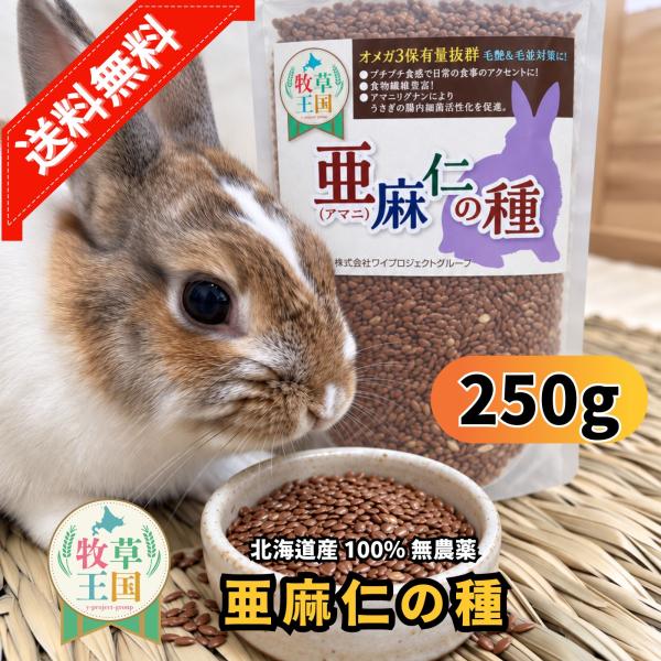 牧草王国 オリジナル 北海道産 無農薬 亜麻仁の種 アマニ オメガ3 健康維持 もふぱふぇ うさぎ 餌 おやつ 毛艶向上 ウサギ チンチラ デグー 爆買