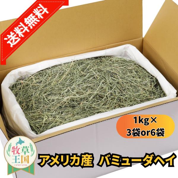 アメリカ産 バミューダヘイ 1kg×3袋 or 6袋 うさぎ 餌 チンチラ デグー モルモット  ペットフード もふぱふぇ 牧草王国 爆買