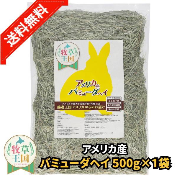 アメリカ産 バミューダヘイ 500gうさぎ 餌 チンチラ デグー モルモット  ペットフード もふぱふぇ 牧草王国 爆買