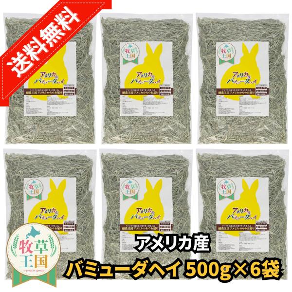 アメリカ産 バミューダヘイ 500g×6袋 サイズ うさぎ 餌 チンチラ デグー モルモット  ペットフード もふぱふぇ 牧草王国 爆買