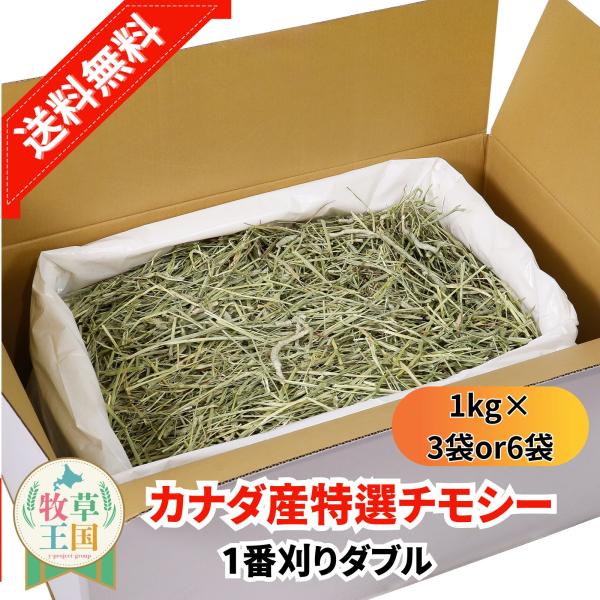 カナダ産 特選チモシー1番刈り ダブル 1kg×3袋 or 6袋 ラベルレス うさぎ 餌 チンチラ デグー モルモット  ペットフード もふぱふぇ 牧草王国 爆買