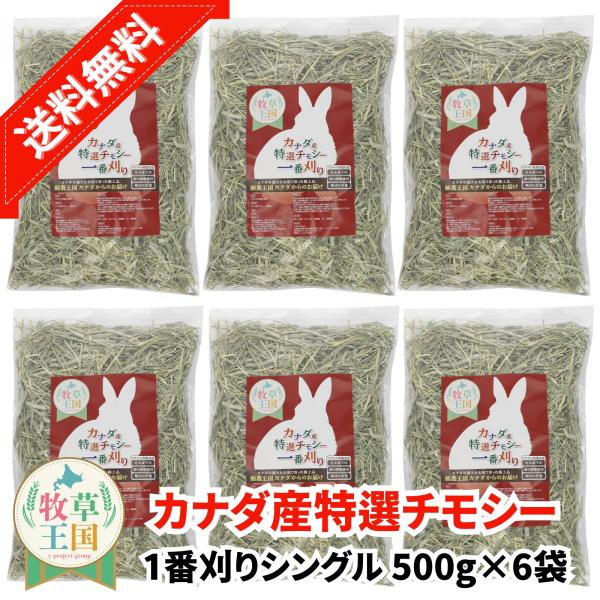 カナダ産 特選チモシー1番刈り ダブル 500g×6袋 うさぎ 餌 チンチラ デグー モルモット  ペットフード もふぱふぇ 牧草王国 爆買