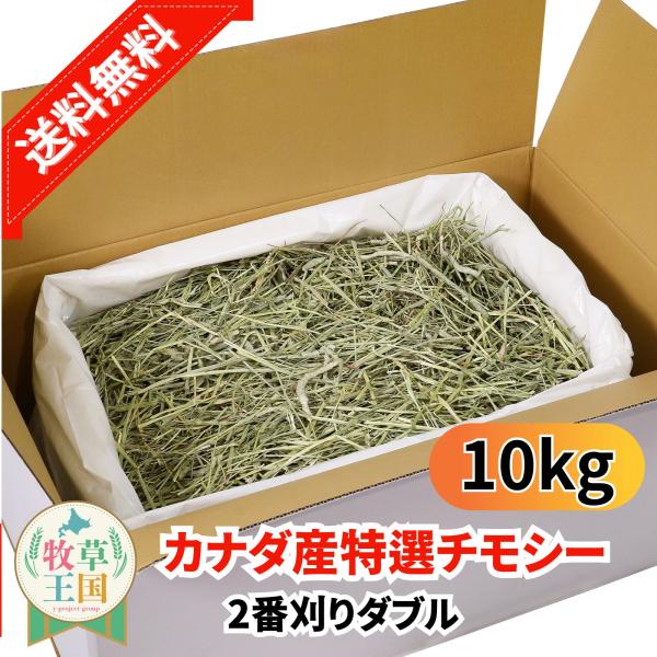 カナダ産 特選チモシー2番刈り ダブル 10kg うさぎ 餌 チンチラ デグー モルモット  ペットフード もふぱふぇ 牧草王国 爆買