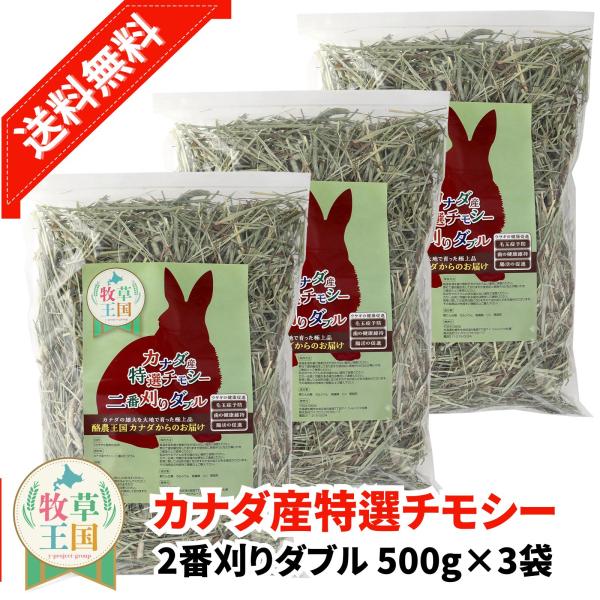 カナダ産 特選チモシー2番刈り ダブル 500g×3袋 うさぎ 餌 チンチラ デグー モルモット  ペットフード もふぱふぇ 牧草王国 爆買