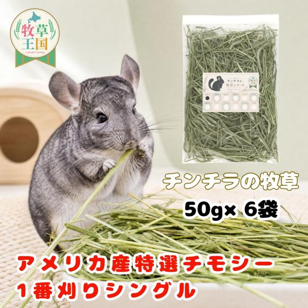 チンチラ 牧草 アメリカ産 特選チモシー 1番刈り シングル 50g×6袋 ちんちら 餌 毛球症対策 不正咬合 繊維質 うっ滞防止 食いつき 健康ケア もふぱふぇ 爆買