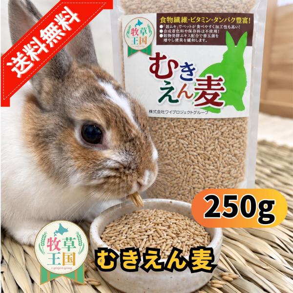 牧草王国 むきえん麦 250g 健康維持 食物繊維 ビタミン タンパク質 高栄養フード もふぱふぇ うさぎ 餌 ウサギ おやつ チンチラ デグー 爆買