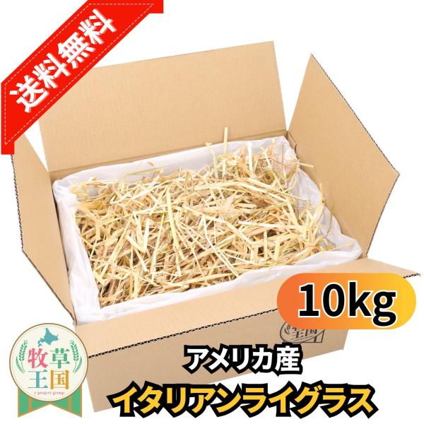 アメリカ産 イタリアンライグラス 10kg うさぎ 餌 チンチラ デグー モルモット  ペットフード もふぱふぇ 牧草王国 爆買