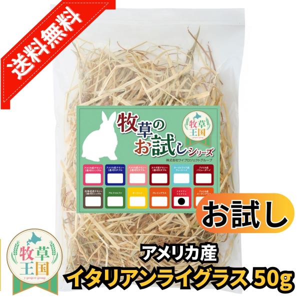 アメリカ産 イタリアンライグラス 50g お試しサイズ うさぎ 餌 チンチラ デグー モルモット  ペットフード もふぱふぇ 牧草王国 爆買