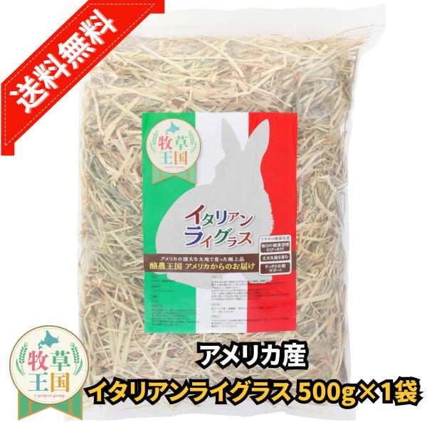 アメリカ産 イタリアンライグラス 500g うさぎ 餌 チンチラ デグー モルモット  ペットフード もふぱふぇ 牧草王国 爆買