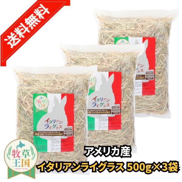アメリカ産 イタリアンライグラス 500g×3袋 うさぎ 餌 チンチラ デグー モルモット  ペットフード もふぱふぇ 牧草王国 爆買