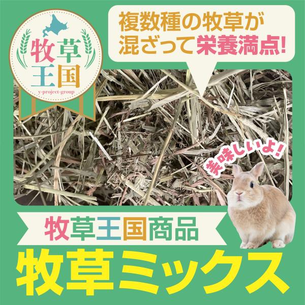 牧草王国 オリジナル ミックス 牧草 5kg or 10kg チモシー オーツヘイ ミックス 嗜好性抜群 もふぱふぇ うさぎ 餌 おやつ 栄養満点 ウサギ チンチラ デグー 爆買