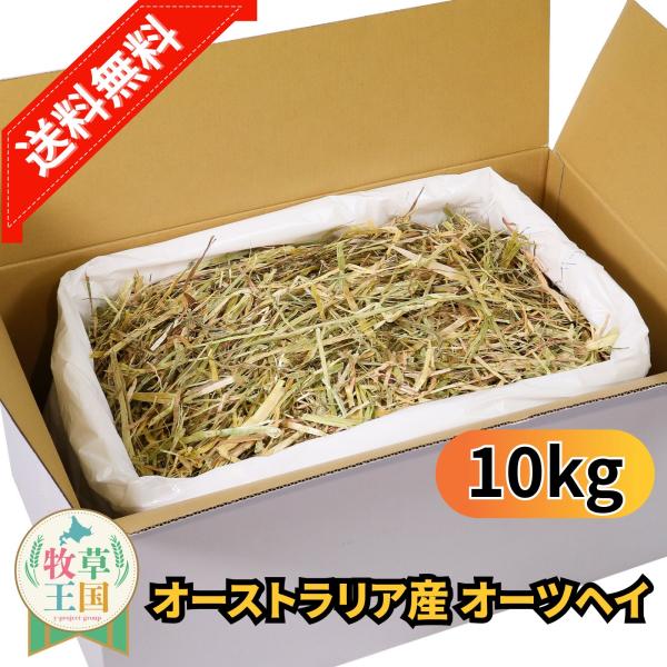 オーストラリア産 特選オーツヘイ 10kg うさぎ 餌 チンチラ デグー モルモット  ペットフード もふぱふぇ 牧草王国 爆買