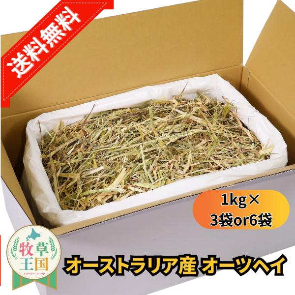 オーストラリア産 特選オーツヘイ 1kg×3袋 or 6袋 ラベルレス うさぎ 餌 チンチラ デグー モルモット  ペットフード もふぱふぇ 牧草王国 爆買