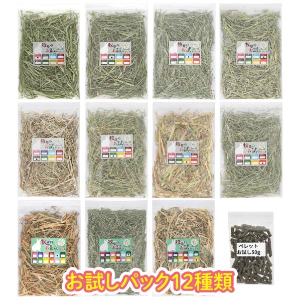 【商品説明】画像参照【内容量】50g×12種類【注意事項】外国産の牧草は殺虫処理がされたあと日本に輸入されます。日本に到着後は殺虫成分の残留が殆どないため、まれに虫がつくことがございます。北海道産は牧場での天日乾燥だけですので、虫がいる場合...