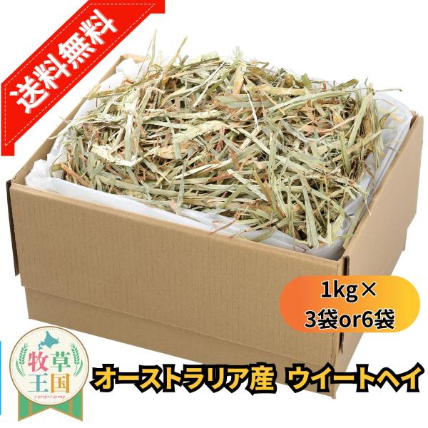 オーストラリア産 ウイートヘイ 1kg×3袋 or 6袋 ラベルレス うさぎ 餌 チンチラ デグー モルモット  ペットフード もふぱふぇ 牧草王国 爆買