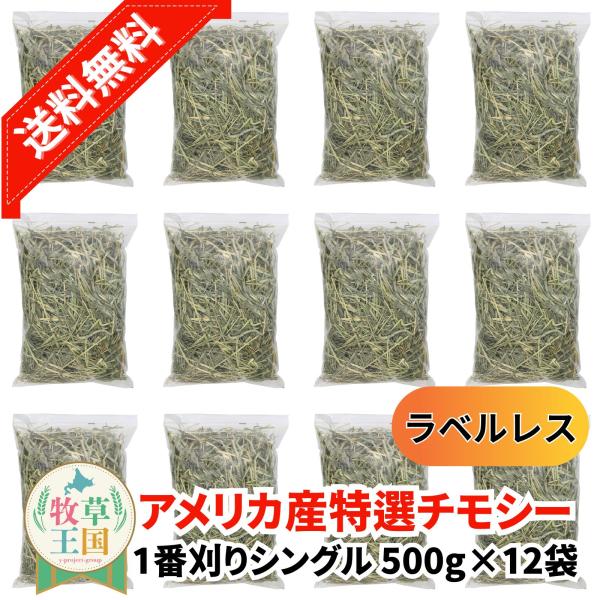 アメリカ産 特選チモシー1番刈り シングル 500g×12袋 ラベルレス うさぎ 餌 チンチラ デグー モルモット  ペットフード もふぱふぇ 牧草王国 爆買