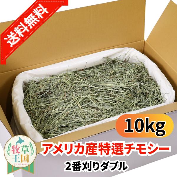 アメリカ産 特選チモシー2番刈り ダブル 10kg うさぎ 餌 チンチラ デグー モルモット  ペットフード もふぱふぇ 牧草王国 爆買
