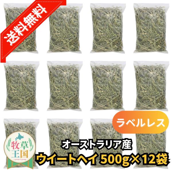 オーストラリア産 ウイートヘイ 500g×12袋 ラベルレス うさぎ 餌 チンチラ デグー モルモット  ペットフード もふぱふぇ 牧草王国 爆買