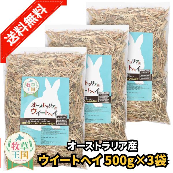 オーストラリア産 ウイートヘイ 500g×3袋 うさぎ 餌 チンチラ デグー モルモット  ペットフード もふぱふぇ 牧草王国 爆買
