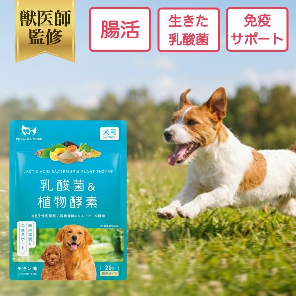 ペットリンクモア公式 犬用 乳酸菌 & 植物酵素 サプリメント 粉末 20g 獣医師監修 犬 ペットリンクモア シニア 口臭 腸内 免疫