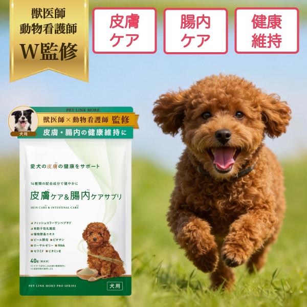 ペットリンクモア公式 獣医師監修 犬用 皮膚 × 腸内 ケア サプリメント 粉末40g ペットリンクモア 犬 いぬ ペット 免疫 被毛 チキン ビタミン