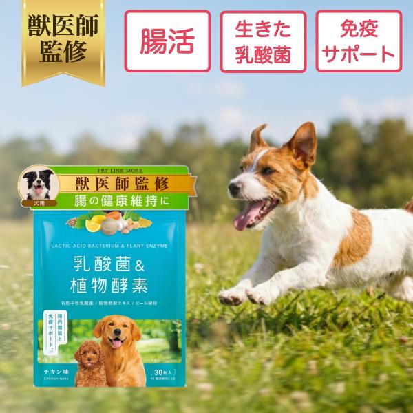 ペットリンクモア公式 犬用 乳酸菌 & 植物酵素 サプリメント 錠剤 30粒 獣医師監修 犬 ペットリンクモア シニア 口臭 腸内 免疫