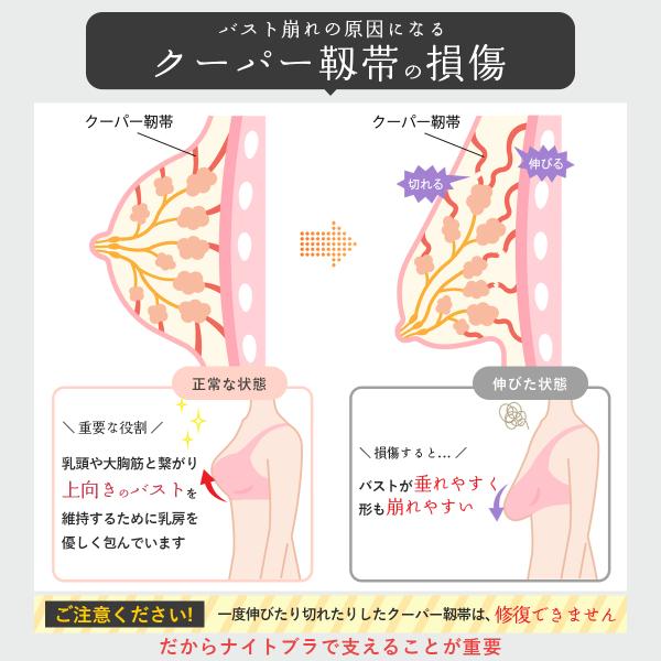 yrk-shop_nightbra01_5_d_20250628123145