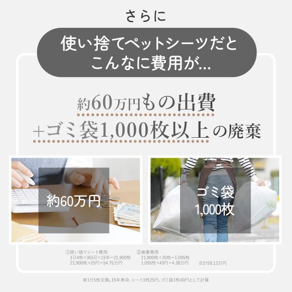 yrk-shop_rpp01_3_d_20251005001208