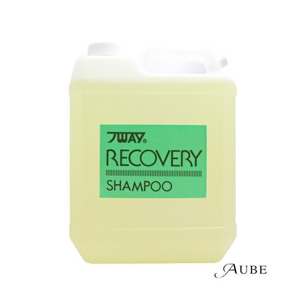 πWEY ニューウェイジャパン パイウェイ リカバリー シャンプー 4000ml