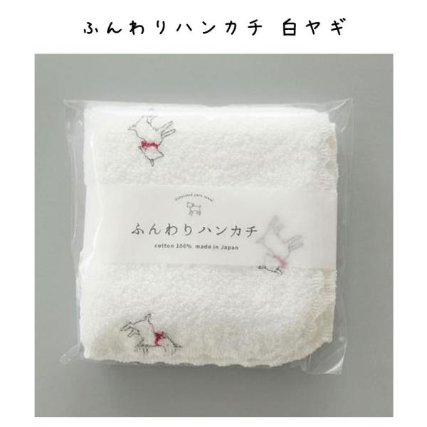 nJ` K[[nJ` xr[pi Ԃ xr[K[[ Rbg 100 Y oYj v[g 蕨   qI G