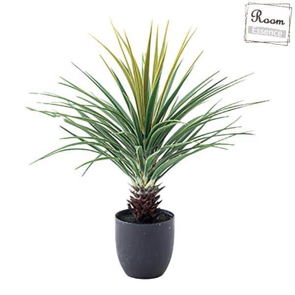 tFCNO[ ~jpCibv ϗtA O[IuWF CeAIuWF A  CeA 킢 ~jpCibv  A