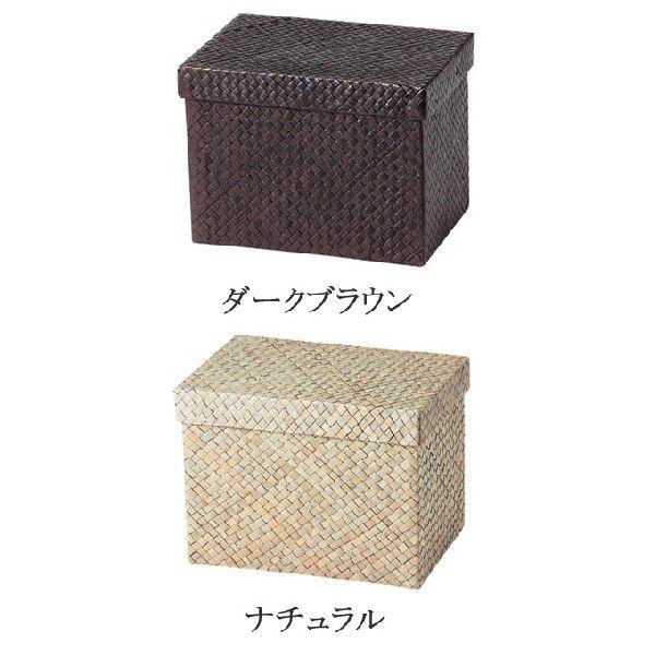  JS  oXPbg X܏Y  [P[X [{bNX [P[X  킢  AWA Vv i` ҂