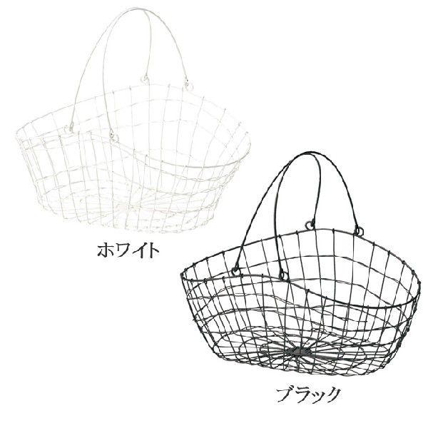  JS  oXPbg X܏Y h[oXPbg  [P[X  킢  AWA Vv i` ҂