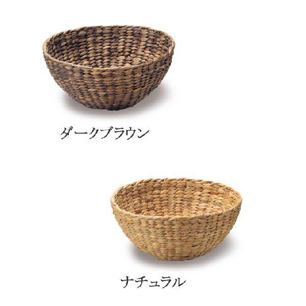  JS  oXPbg X܏Y  [P[X [P[X  킢  AWA Vv i` ҂ ی^ Eh