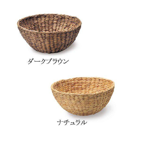  JS  oXPbg X܏Y  [P[X [P[X  킢  AWA Vv i` ҂ ی^ Eh