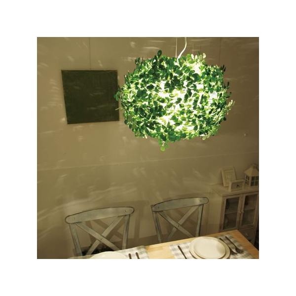 y_gv y_gCg ԐڏƖ Ɩ VƖ y_g fUCƖ IV  _ ݂艺 t [t A 