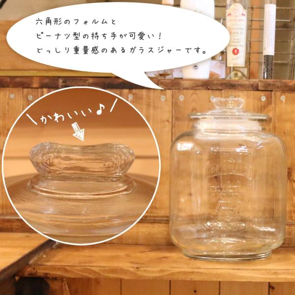 ガラス クッキージャー 5L GLASS COOKIE JAR ぼってりフォルムの人気者