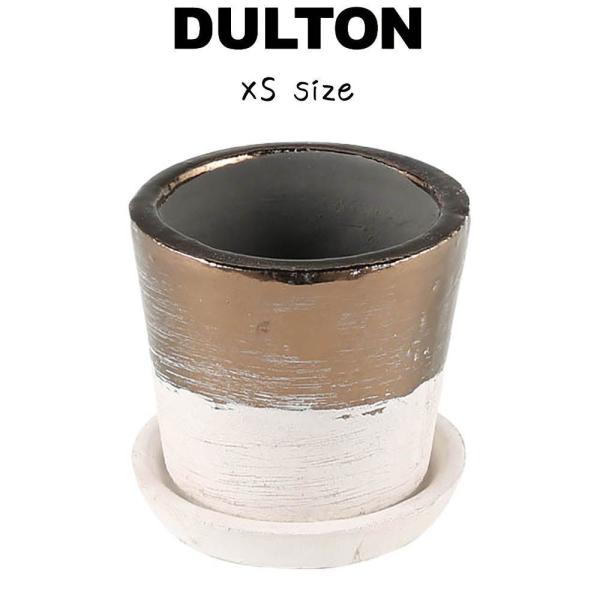 eRb^ oCJ[ |bg XS _g DULTON Aؔ  A 2.5 eRb^  Vv i`  킢