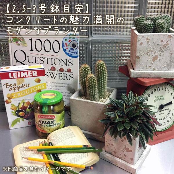 ソリッド プランター キューブ S ダルトン DULTON 植木鉢 鉢 鉢植え