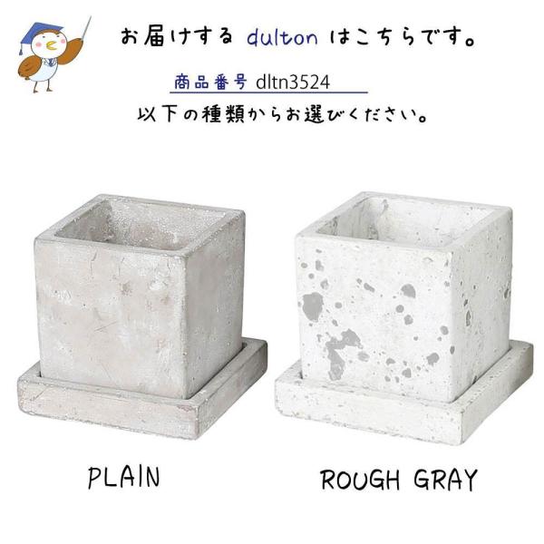 ソリッド プランター キューブ S ダルトン DULTON 植木鉢 鉢